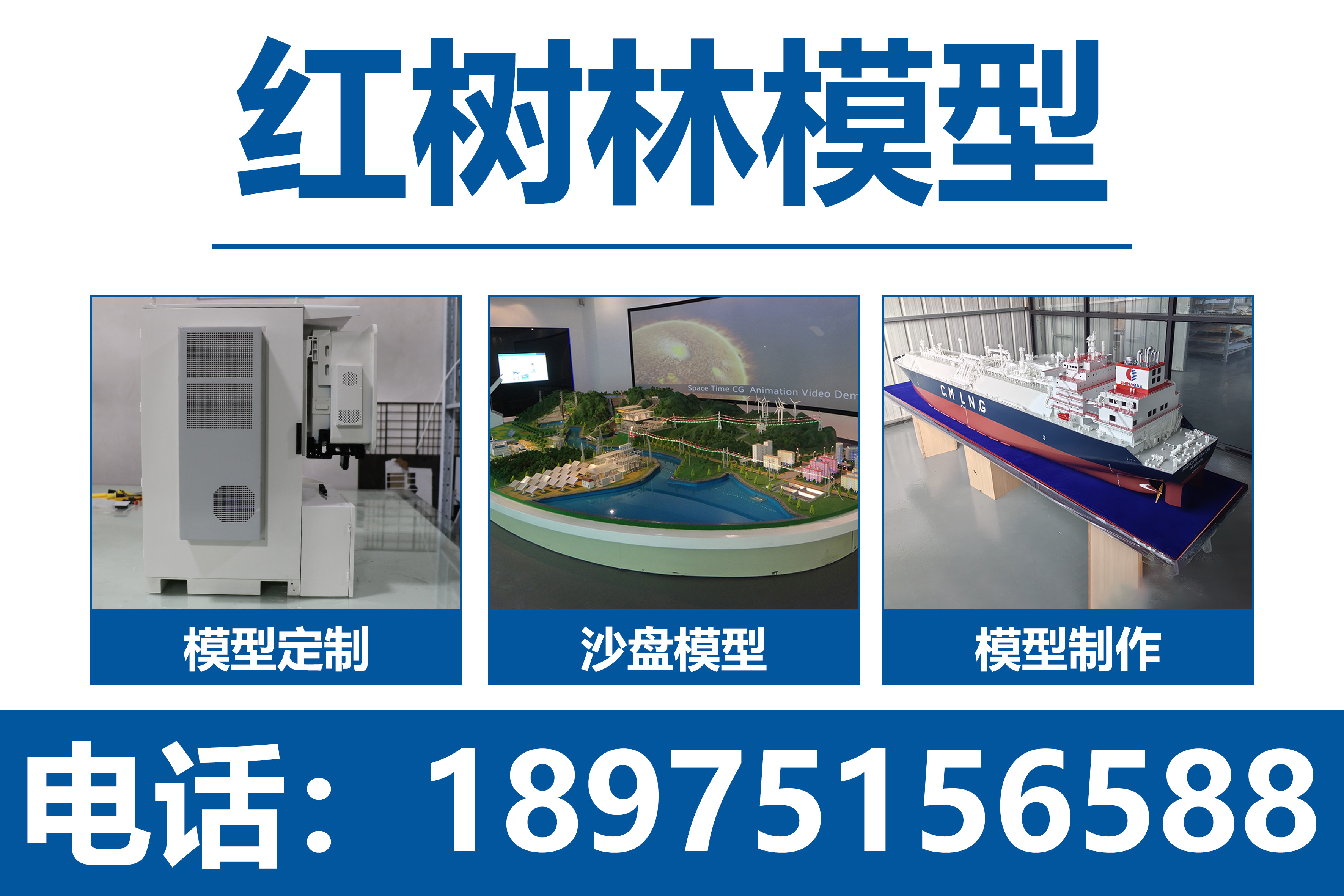 红树林